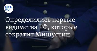 Михаил Мишустин - Антон Орлов - Определились первые ведомства РФ, которые сократит Мишустин - ura.news - Россия
