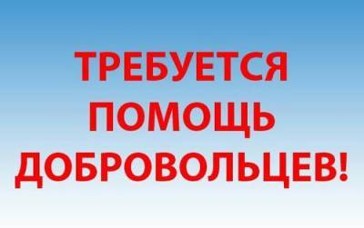 Пропавшая в Челябинске пятилетняя девочка, которую искали всю ночь, нашлась живой и здоровой - argumenti.ru - Челябинск