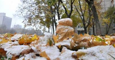 Морозы, дождь и мокрый снег: прогноз погоды на пятницу, 20 ноября - tsn.ua - Украина - Киев