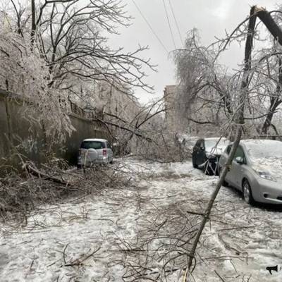 Власти Приморья из-за циклона ввели в регионе режим ЧС - radiomayak.ru - Приморье край - Владивосток - Партизанск
