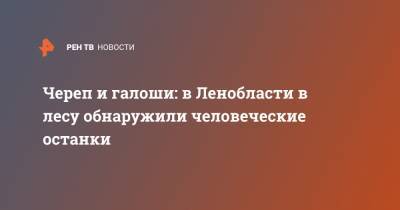 Череп и галоши: в Ленобласти в лесу обнаружили человеческие останки - ren.tv - Ленинградская обл. - р-н Кировский