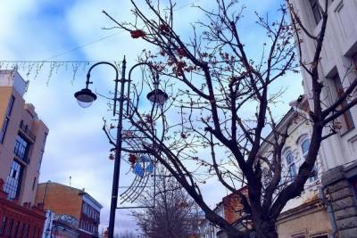 Светлана Цветайло - В области начинаются снегопады - saratov.mk.ru - Саратовская обл. - Саратов