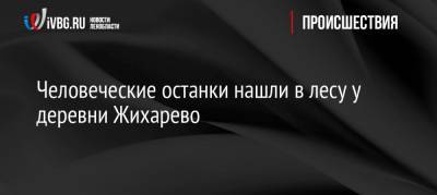 Человеческие останки нашли в лесу у деревни Жихарево - ivbg.ru - Ленинградская обл. - р-н Кировский