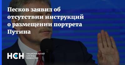 Владимир Путин - Дмитрий Песков - Александр Пушкин - Песков заявил об отсутствии инструкций о размещении портрета Путина - nsn.fm - Россия - Санкт-Петербург