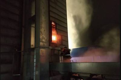 На элеваторе в Винницкой области сгорело 45 тонн семечек - news.bigmir.net - Винницкая обл. - Гсчс
