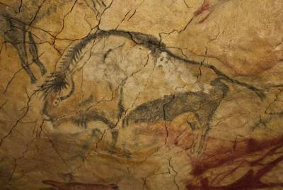 В пещерах Испании обнаружены 25000-летние гравюры животных - lenta.ua - Испания