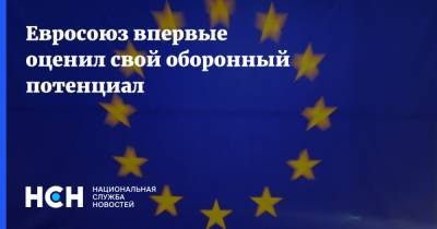 Жозеп Боррель - Евросоюз впервые оценил свой оборонный потенциал - nsn.fm