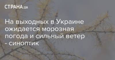 Наталья Диденко - На выходных в Украине ожидается морозная погода и сильный ветер - синоптик - strana.ua - Украина - Киев