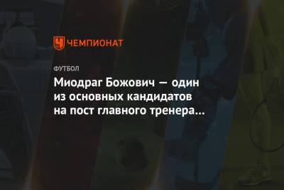 Миодраг Божович — один из основных кандидатов на пост главного тренера сборной Сербии - championat.com - Сербия