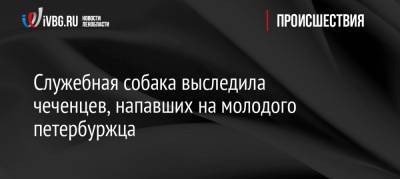 Служебная собака выследила чеченцев, напавших на молодого петербуржца - ivbg.ru - Санкт-Петербург - респ. Чечня - район Калининский