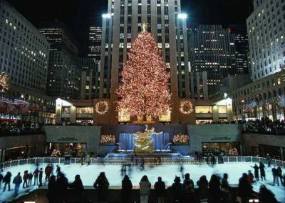 Какой год, такая и елка: почему нью-йоркцы высмеяли главное рождественское дерево города - 24tv.ua - США - Нью-Йорк - шт. Нью-Йорк