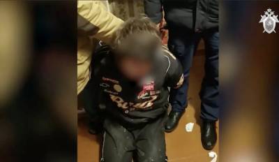 Похититель мальчика из Владимирской области рассказал, где держал ребенка - newzfeed.ru - Москва - Владимирская обл.