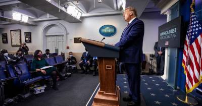 Дональд Трамп - Джо Байден - Трамп рассказал, кому выгодно его поражение на выборах - ren.tv - США