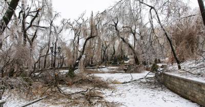Синоптики заявили об отступлении снежного циклона в Приморье - ren.tv - Приморье край - Владивосток - район Надеждинский