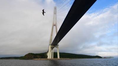 Оболочка ванты Русского моста повисла над морем во Владивостоке - 5-tv.ru - Владивосток