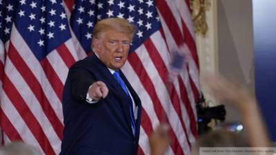 Дональд Трамп - Мария Базарева - Дональд Трамп напомнил, кто победил на президентских выборах в США - nation-news.ru - США