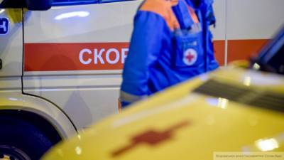 Авария с влетевшей в дерево иномаркой под Тверью привела к гибели женщины - inforeactor.ru - Тверь - Торжок