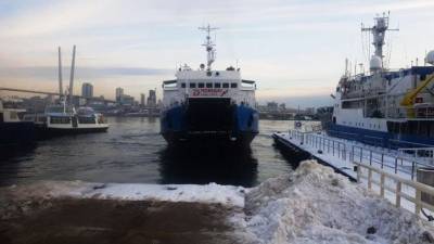 Застрявших людей на острове Русский доставят во Владивосток на пароме - 5-tv.ru - Владивосток - Приморье - Дальний Восток