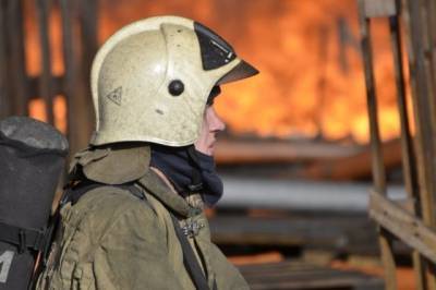 Причиной пожара на птицеферме в Югре могло быть короткое замыкание - aif.ru - Россия - Югра - район Нефтеюганский