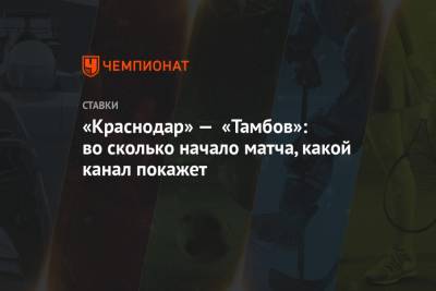 «Краснодар» — «Тамбов»: во сколько начало матча, какой канал покажет - championat.com - Россия - Краснодар - Тамбов