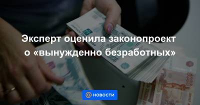 Эксперт оценила законопроект о «вынужденно безработных» - news.mail.ru - Россия