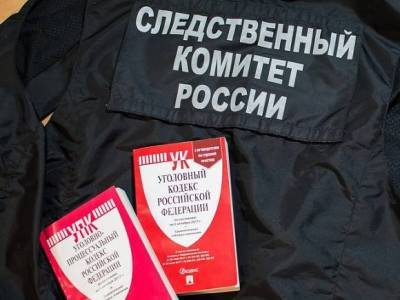 После жестокого убийства ребенка под Саратовом завели дело - rosbalt.ru - Россия - Саратовская обл. - Саратов - Энгельс