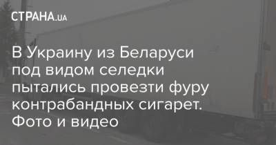 В Украину из Беларуси под видом селедки пытались провезти фуру контрабандных сигарет. Фото и видео - strana.ua - Украина - Белоруссия