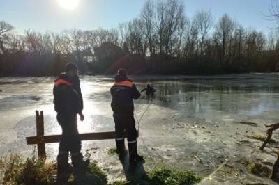 В Пензе двое детей во время прогулки провалились под лёд - aif.ru - Камчатский край - Пенза