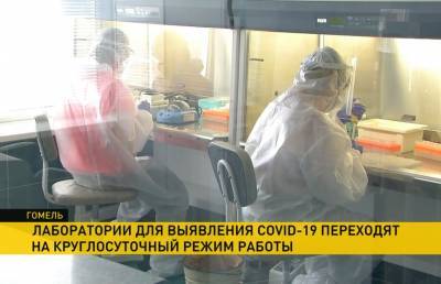 Тесты на COVID-19: лаборатории в Гомельской области переходят на круглосуточный режим работы - ont.by - Светлогорск - Гомель - Мозырь