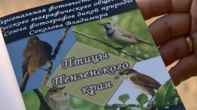 Владимир Соколов - Пензенский фотограф издал альбом о птицах, живущих в регионе - penzainform.ru - Пензенская обл.