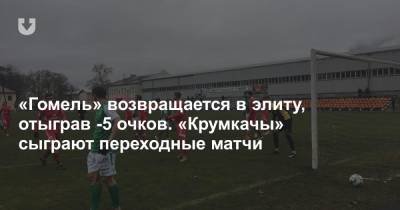 «Гомель» возвращается в элиту, отыграв -5 очков. «Крумкачы» сыграют переходные матчи - news.tut.by - Светлогорск - Гомель
