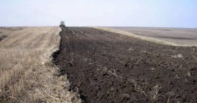 Скандал на Волыни: в одной из громад депутаты спешно поделили между собой около сотни гектаров земли - tsn.ua - Украина - Луцк