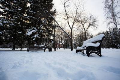 Единственный день без снега: какая погода будет в Новосибирске 22 ноября - novos.mk.ru - Новосибирск