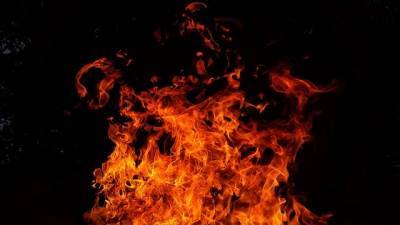 На пожаре в центре Рязани погибли двое мужчин - 7info.ru - Россия - Рязанская обл. - Рязань