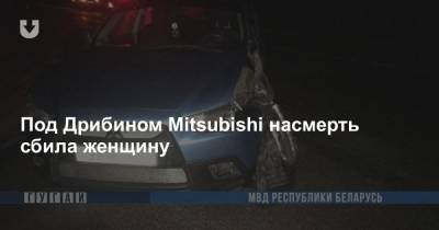 Под Дрибином Mitsubishi насмерть сбила женщину - news.tut.by