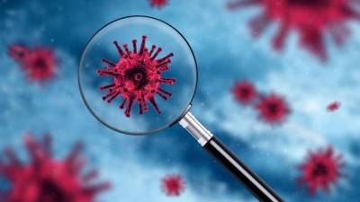 Мутировавший коронавирус обойдет иммунитет? — Мнение биолога - 5-tv.ru - Россия - Дания