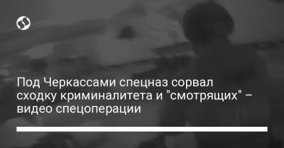 Под Черкассами спецназ сорвал сходку криминалитета и "смотрящих" – видео спецоперации - liga.net - Черкассы - Полтава - Спецназ