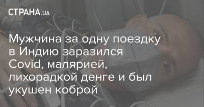 Мужчина за одну поездку в Индию заразился Covid, малярией, лихорадкой денге и был укушен коброй - strana.ua - Индия