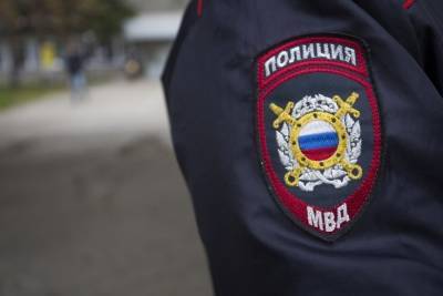 Полиция задержала мужчину в Новосибирске на самолете из Москвы - novos.mk.ru - Москва - Новосибирск