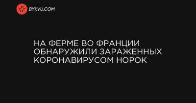 Во Франции - На ферме во Франции обнаружили зараженных коронавирусом норок - bykvu.com - Украина - Франція