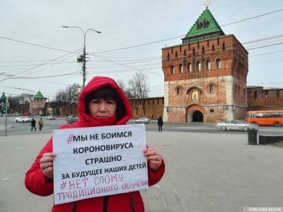 Нижегородка провела одиночный пикет в центре города против «дистанта» - vgoroden.ru - Нижний Новгород