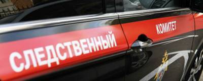 В Новосибирске задержали подозреваемого в убийстве автомобилистки Татьяны Кучевой - runews24.ru - Новосибирск