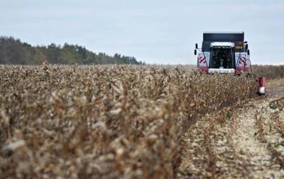 В Украине худший за пять лет урожай кукурузы - korrespondent.net - Украина - Аграрии