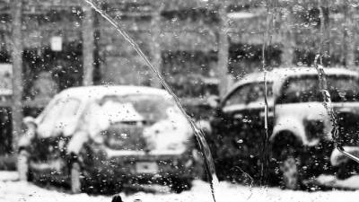 Мокрый снег с дождем ожидаются в Петербурге во вторник - piter.tv - Санкт-Петербург