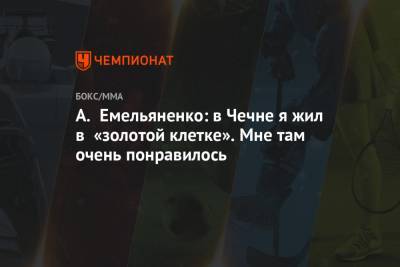 Магомед Исмаилов - Александр Емельяненко - А. Емельяненко: в Чечне я жил в «золотой клетке». Мне там очень понравилось - championat.com - Москва - Россия - респ. Чечня