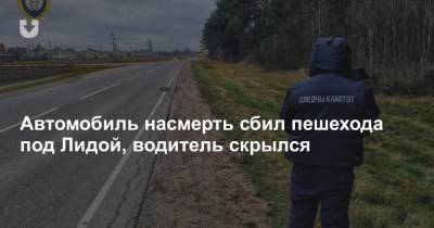 Автомобиль насмерть сбил пешехода под Лидой, водитель скрылся - news.tut.by - Белоруссия - район Лидский