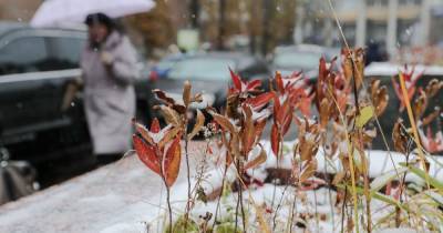 Местами дождь, местами мокрый снег: прогноз погоды в Украине на вторник, 24 ноября - tsn.ua - Украина - Киев