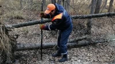 Тело 47-летнего пензенца нашли в лесном болоте вмерзшим в лед - penzainform.ru - Россия - Пензенская обл. - Пенза