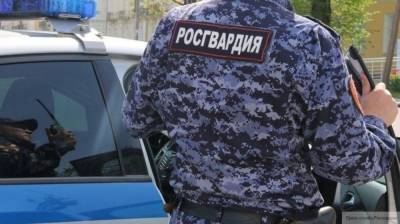 Аглая Чайковская - Штрафы за неповиновение правоохранителям в РФ могут повысить - politros.com - Россия