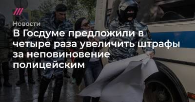 В Госдуме предложили в четыре раза увеличить штрафы за неповиновение полицейским - tvrain.ru